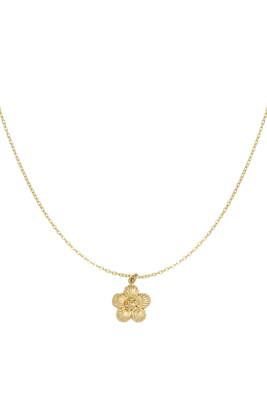 Daisy ketting goud